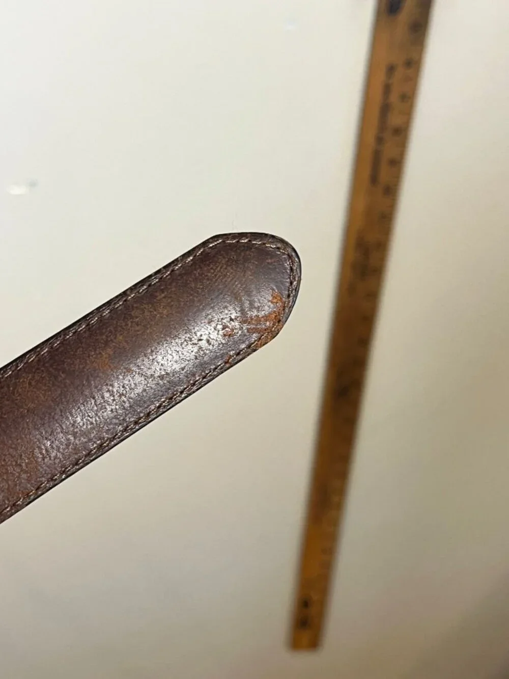Fossil great pre